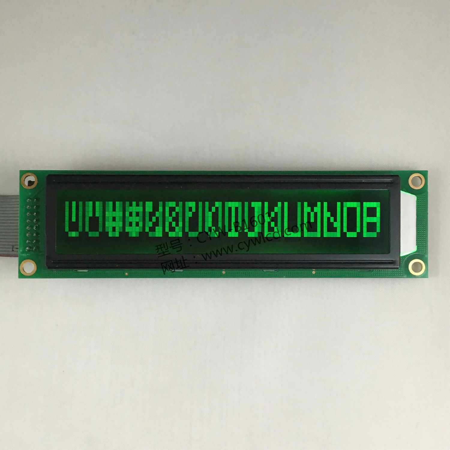 驰宇微4.9寸1601液晶模块CYW-B1601C黑底绿字1.JPG